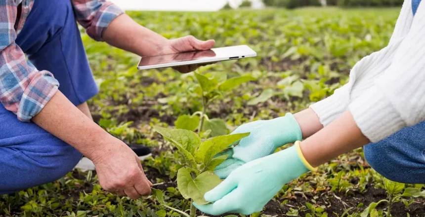 imgi_9_people-farming-together-close-up_23-2148580009